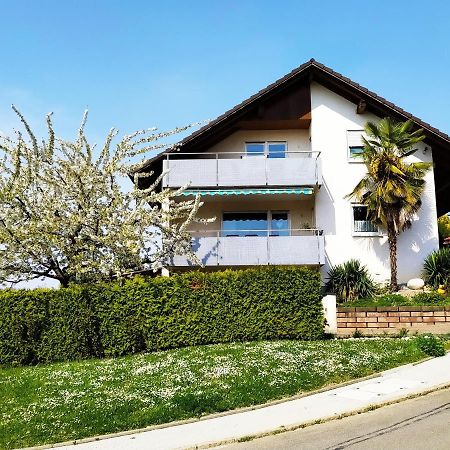 Апартаменты Haus Kramer Бад-Беллинген Экстерьер фото