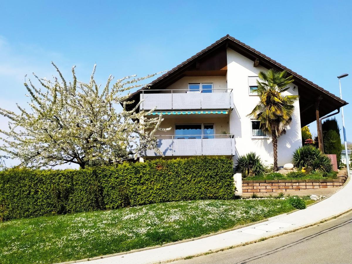 Апартаменты Haus Kramer Бад-Беллинген Экстерьер фото